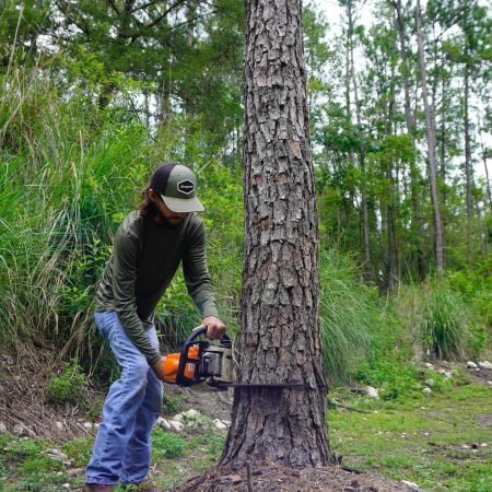 colton cutting down tree